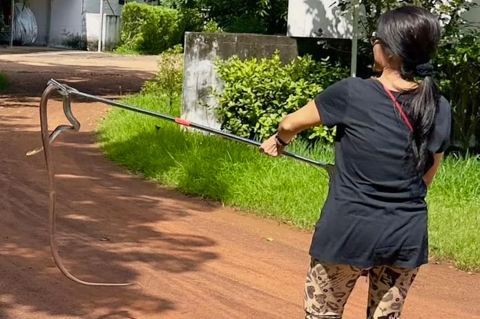 The Snake Whisperer